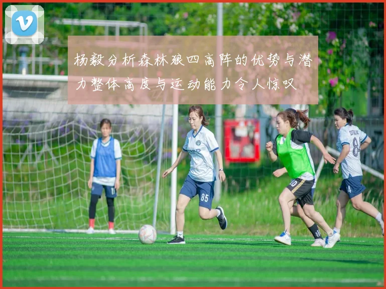 杨毅分析森林狼四高阵的优势与潜力整体高度与运动能力令人惊叹