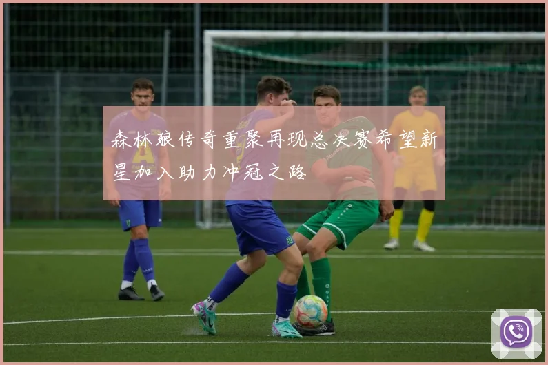 森林狼传奇重聚再现总决赛希望新星加入助力冲冠之路