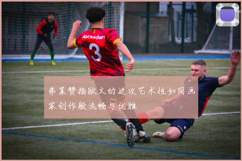 弗莱赞扬欧文的进攻艺术性如同画家创作般流畅与优雅