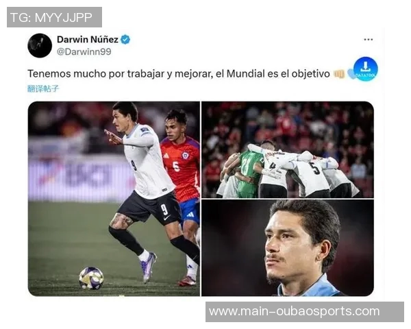 努涅斯被移除联赛名单或将在世界杯后重返欧洲球队